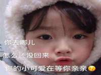江苏九福生物科技有限公司